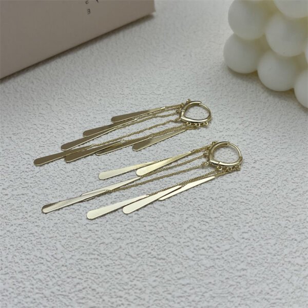 04d333fa-e6b6-44cc-8caf-1786b936c25a.jpg Long Fringe Earrings Special-interest Design Women