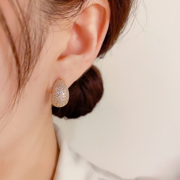 140f2427-e252-4bc1-ab2a-9a8f9f59e2fa-1.jpg Sterling Silver Needle Korean Exquisite Fashion Shiny Micro Inlaid Zirconium Water Drop Shape Stud Earrings