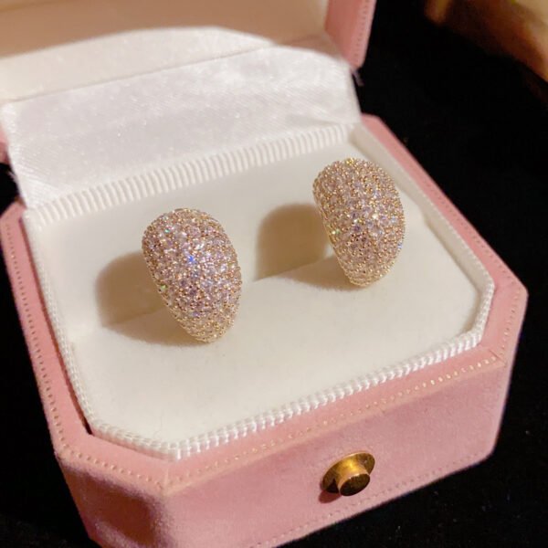 2401240740310321800-1.jpg Sterling Silver Needle Korean Exquisite Fashion Shiny Micro Inlaid Zirconium Water Drop Shape Stud Earrings