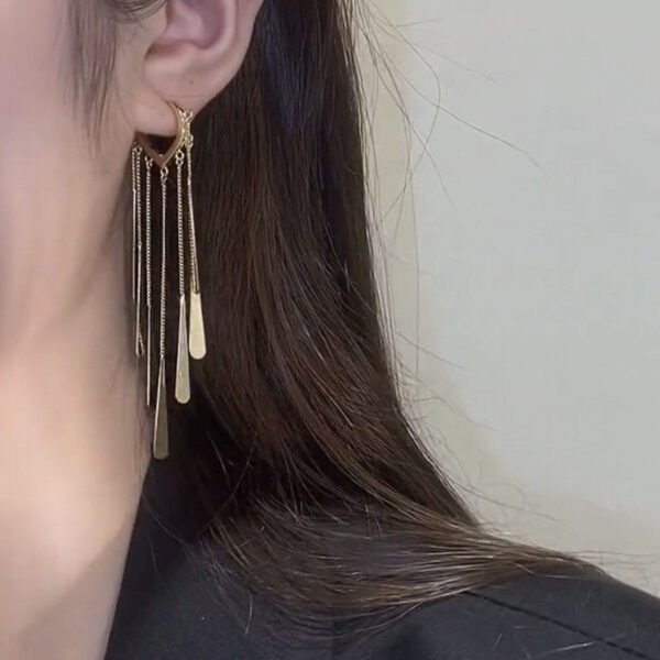 24c97139-2f4e-4538-a68c-bcd27a86ebbe.jpg Long Fringe Earrings Special-interest Design Women
