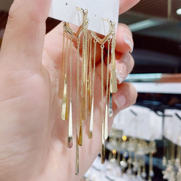 5749bb0d-82e4-4f26-a171-886a5a76926e.jpg Long Fringe Earrings Special-interest Design Women