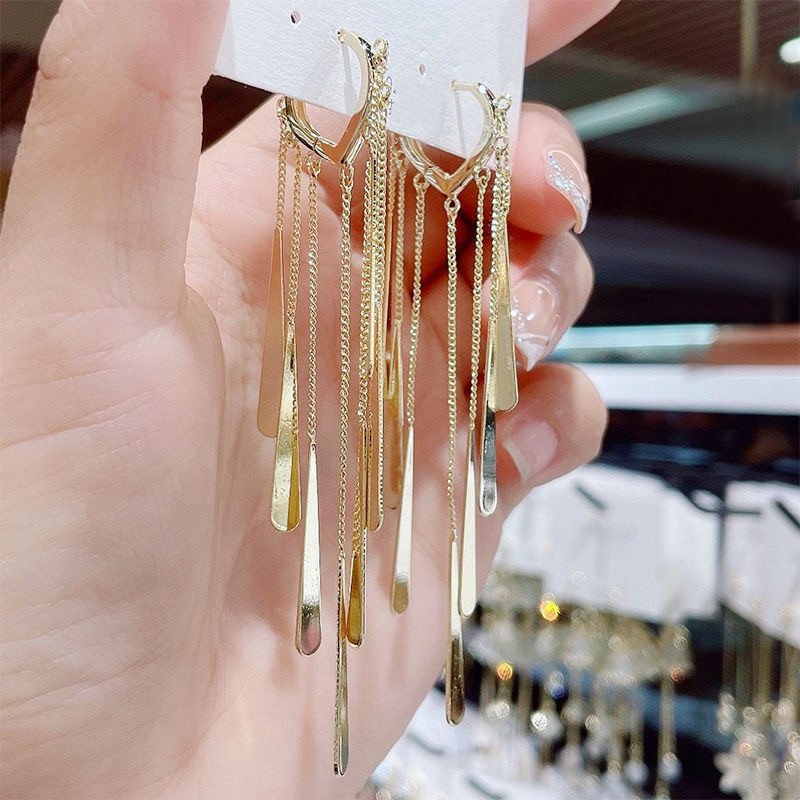 Long Fringe Earrings Special-interest Design Women