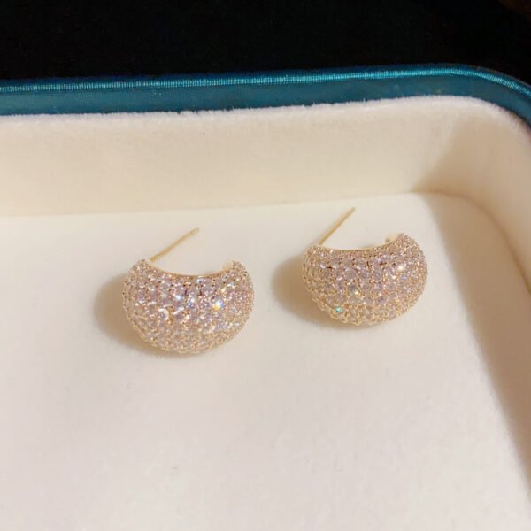 5a62b178-76b3-4165-ab48-bd62334a26f6-1.jpg Sterling Silver Needle Korean Exquisite Fashion Shiny Micro Inlaid Zirconium Water Drop Shape Stud Earrings