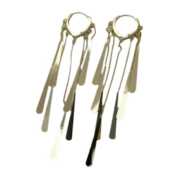 6275c438-338d-461c-baac-ba1651a863bc.jpg Long Fringe Earrings Special-interest Design Women