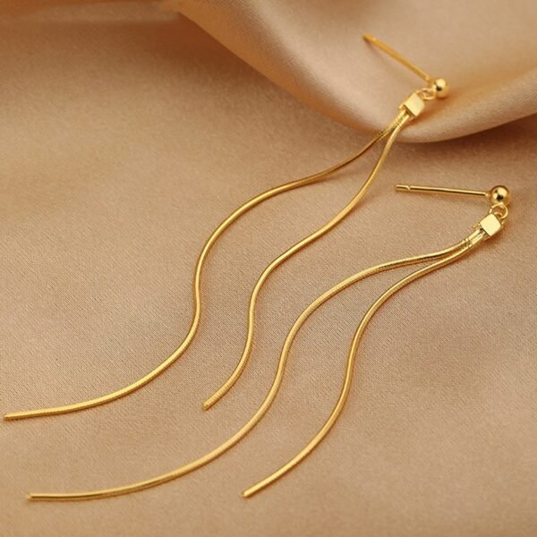 94611964-d24e-4337-90a1-3a92fd503ded.jpg S925 Tassel New Earrings Feminine Long Stud Ear Thread