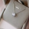 Zircon Six-claw Necklace Clavicle Chain Female