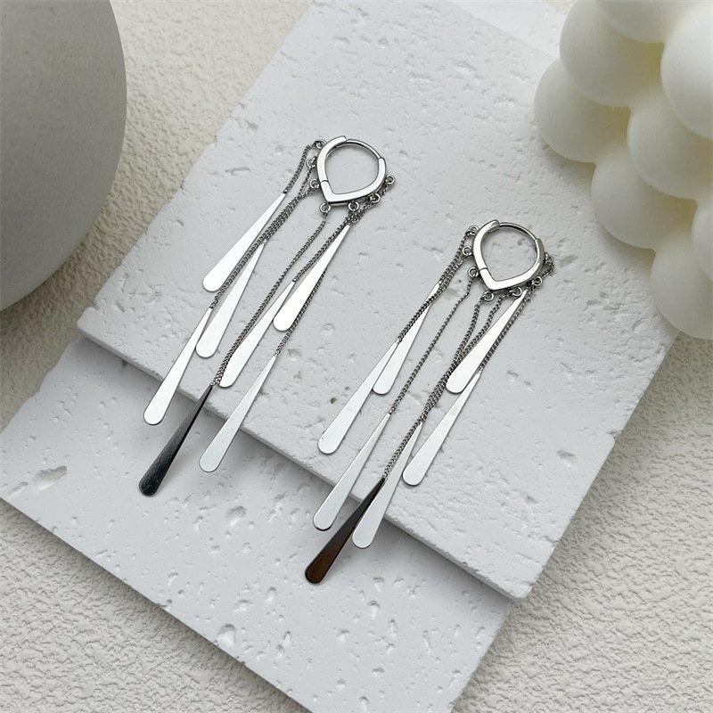 Long Fringe Earrings Special-interest Design Women