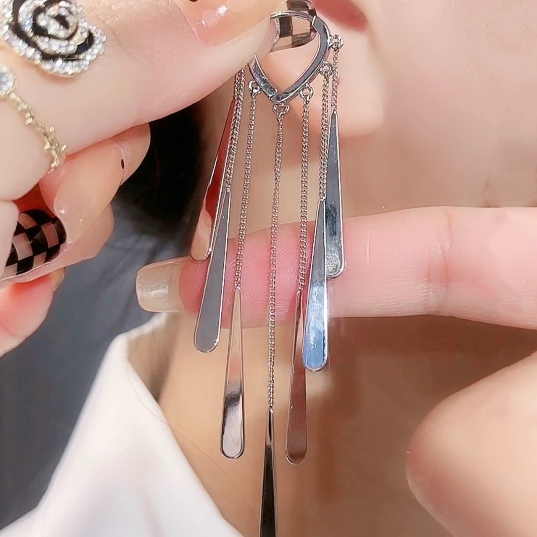 Long Fringe Earrings Special-interest Design Women