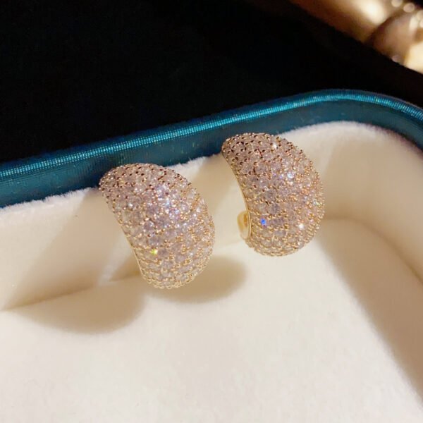 f8199d09-5691-4284-9f75-d59bd0a840de-1.jpg Sterling Silver Needle Korean Exquisite Fashion Shiny Micro Inlaid Zirconium Water Drop Shape Stud Earrings